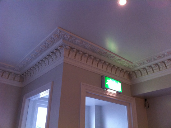 Special Enriched Cornice