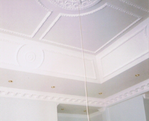 P8 Panelled Ceiling